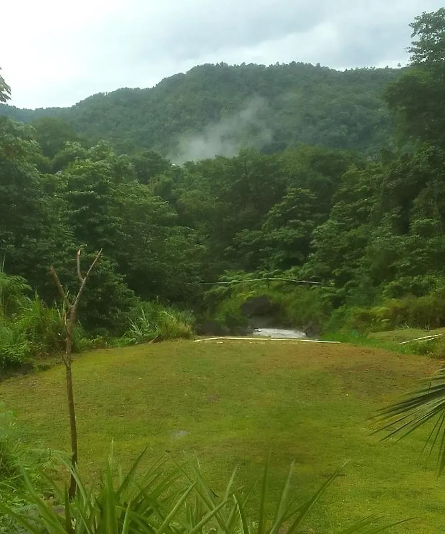 Natty Tropical Valley Roseau Dominica