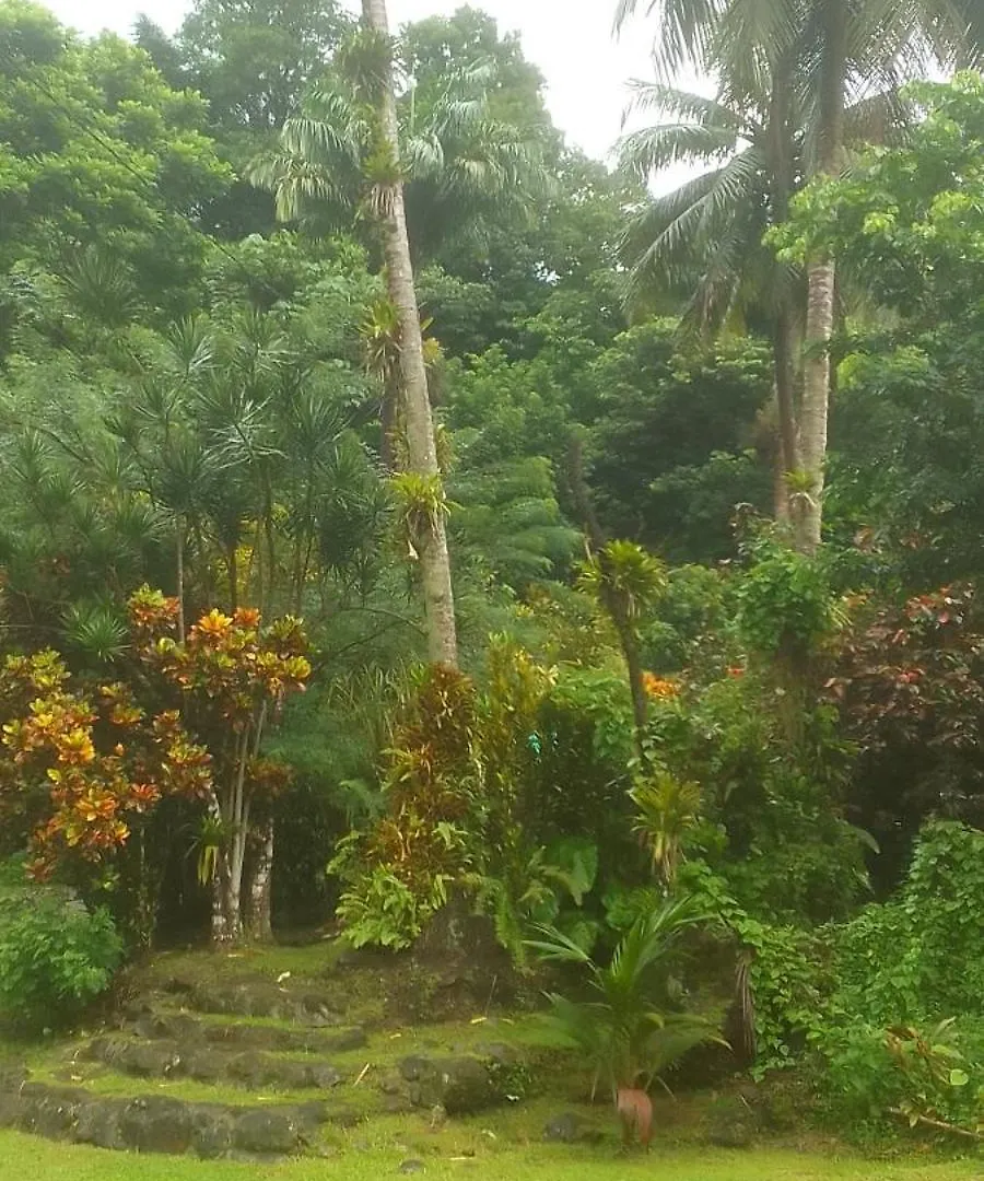 Natty Tropical Valley Roseau 2*,  Dominica
