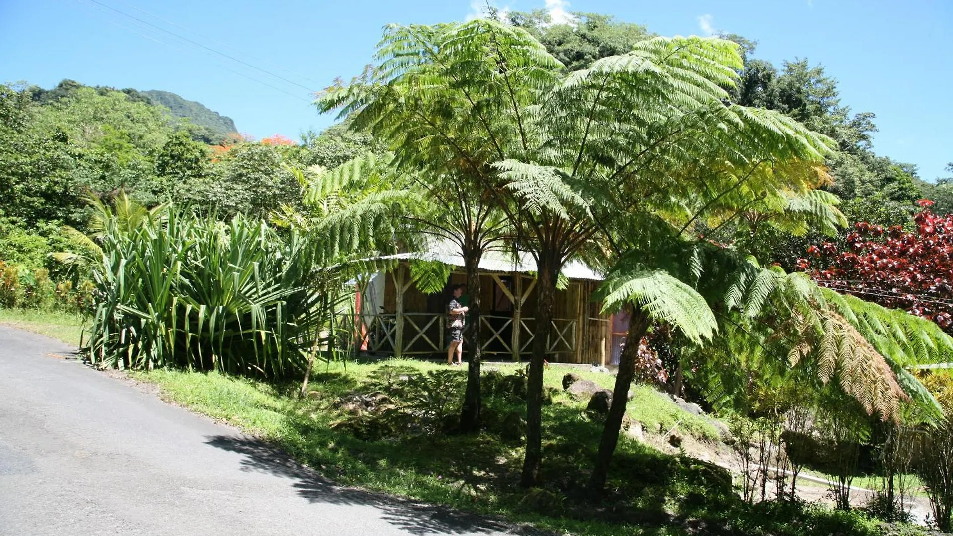 Hotel Natty Tropical Valley Roseau