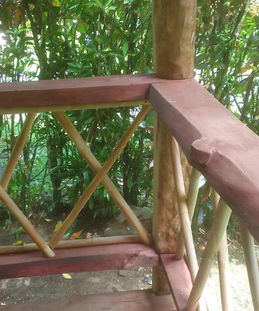 ** Hotel Natty Tropical Valley Roseau Dominique