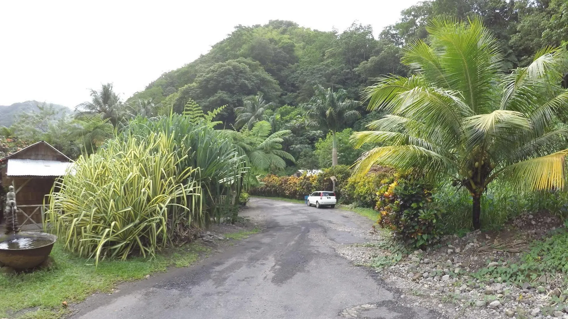 Natty Tropical Valley Roseau