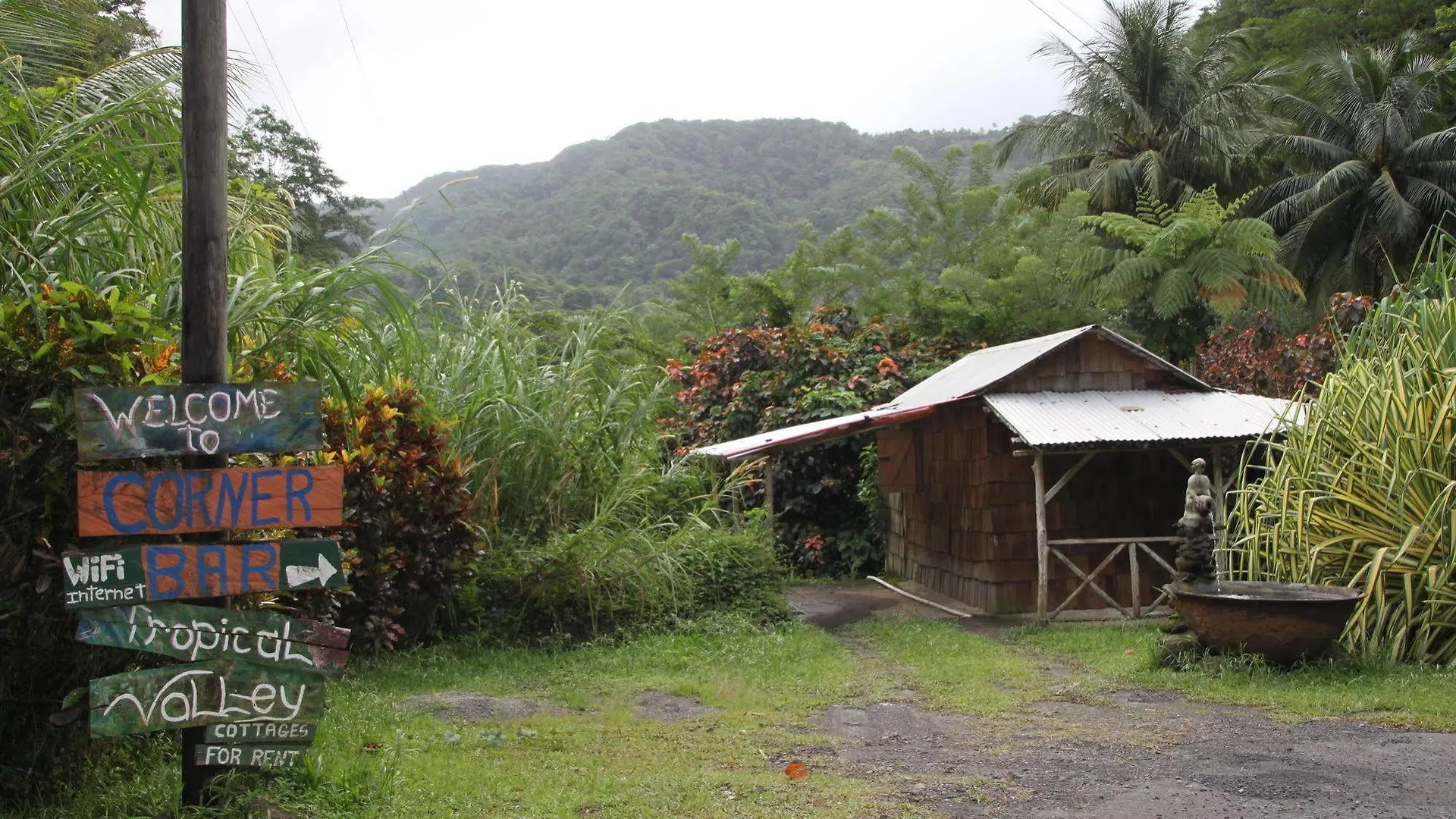 Natty Tropical Valley Roseau Dominique