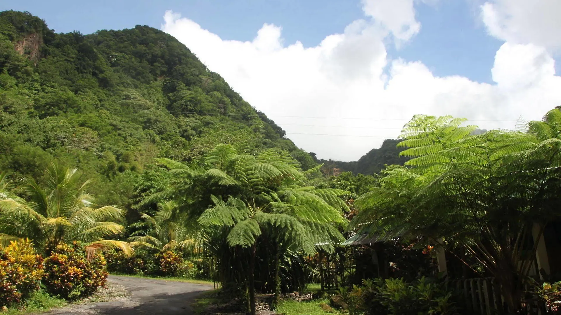 Natty Tropical Valley Roseau 2*,  Dominique